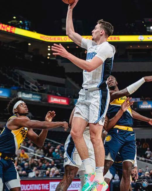 球迷的热烈 球迷的热烈