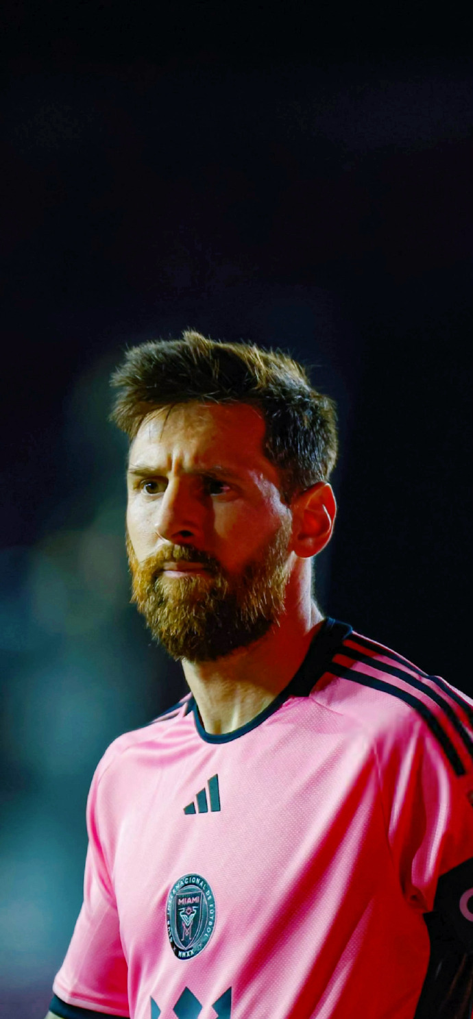 面积累了丰 面积累了丰