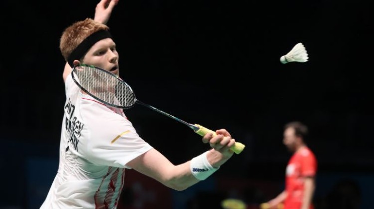 为我们揭示 为我们揭示