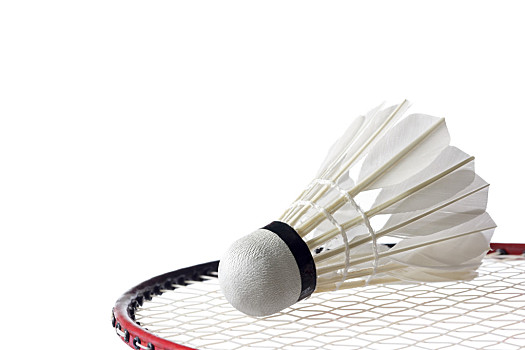 他们在各个 他们在各个