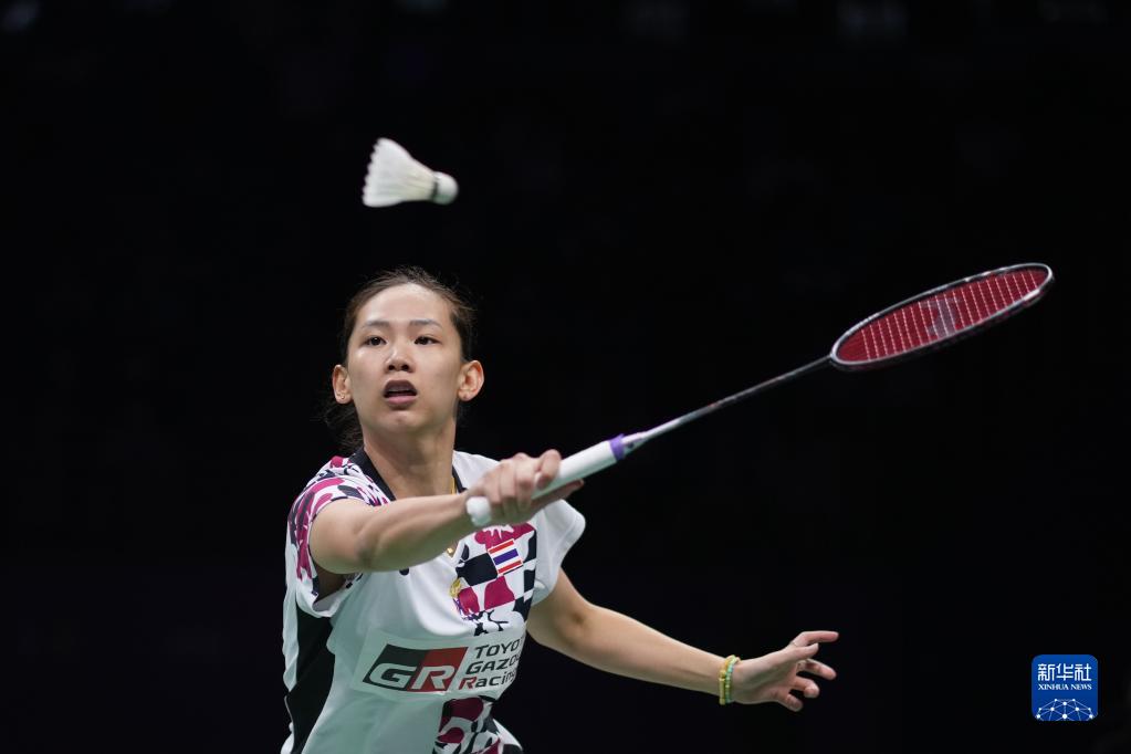 埃里克森的 埃里克森的