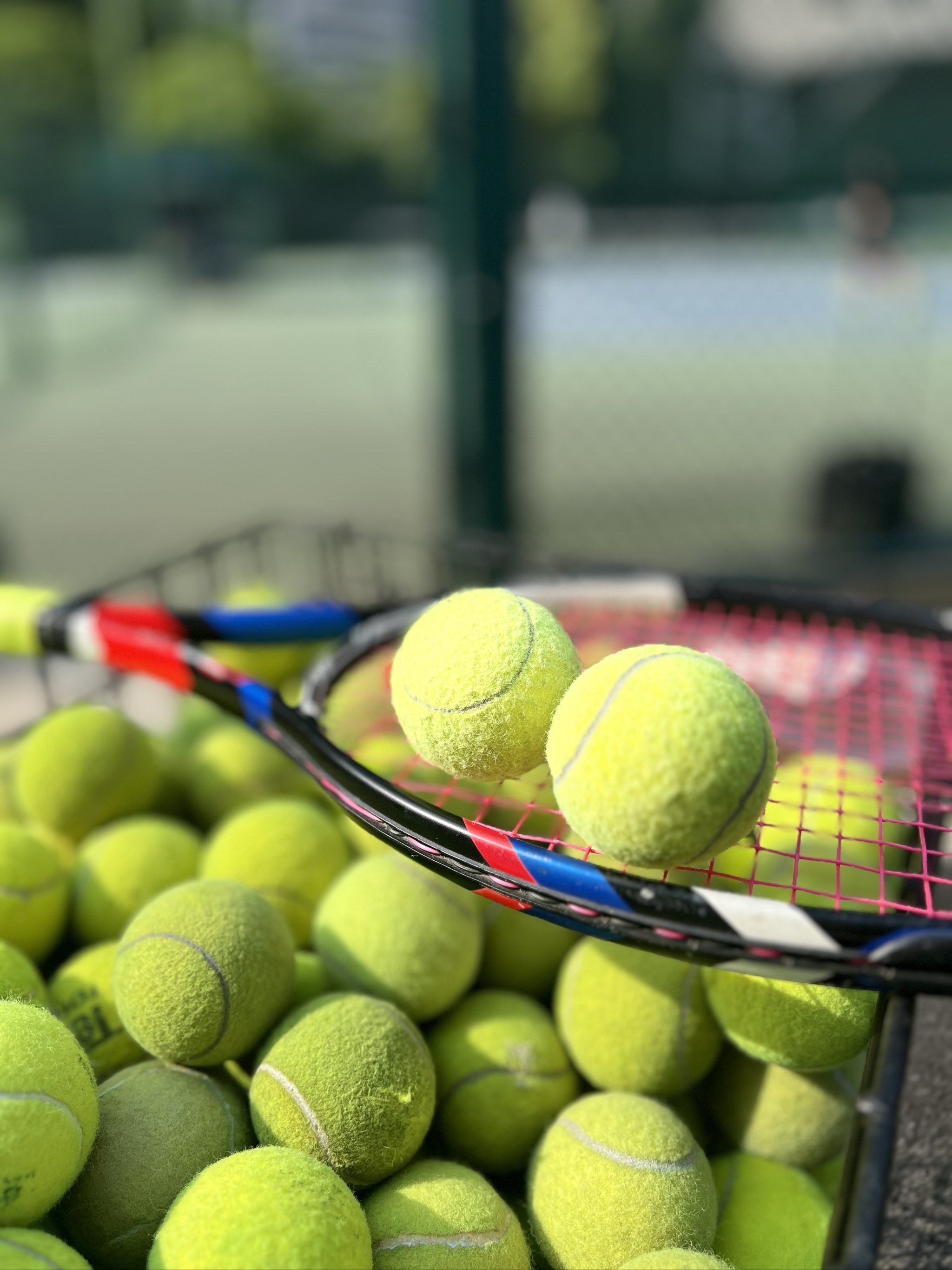 强度显著增 强度显著增